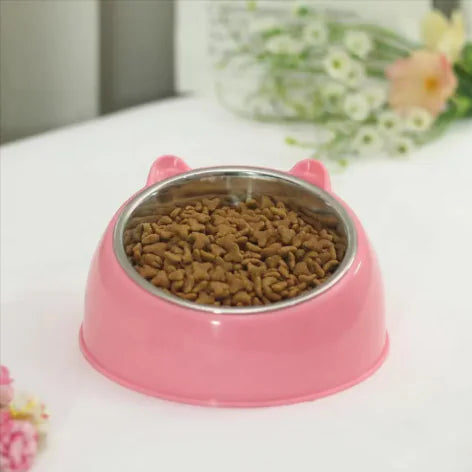 Double Stainless Steel Pet Bowl with Ergonomic Tilt